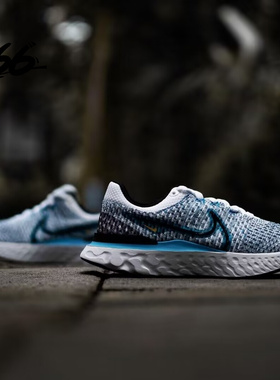 Nike/耐克REACT INFINITY RUNFK3男女子跑步鞋防滑透气DD3024-101