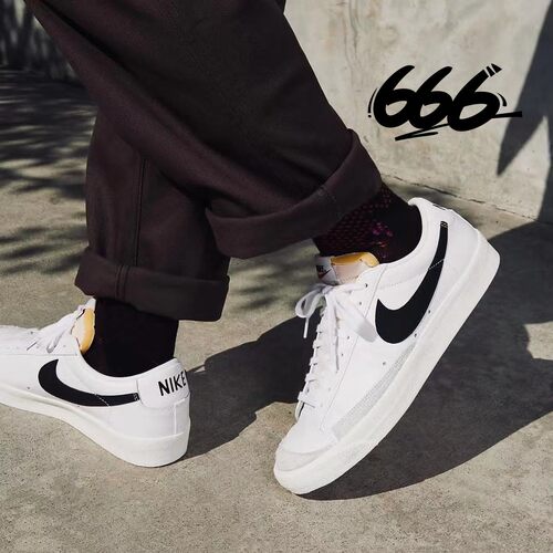 NIKE/耐克系带男女通用板鞋