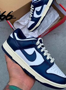 NIKE/耐克耐磨系带休闲板鞋