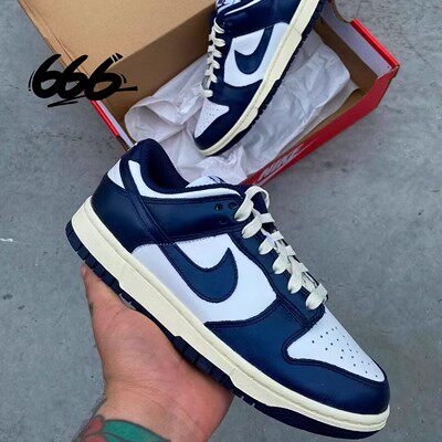 NIKE/耐克耐磨系带休闲板鞋