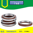 MB1 机械密封件水封109