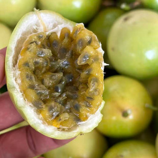 广西钦蜜9号黄金百香果大果3斤装黄皮百香果顺丰包邮