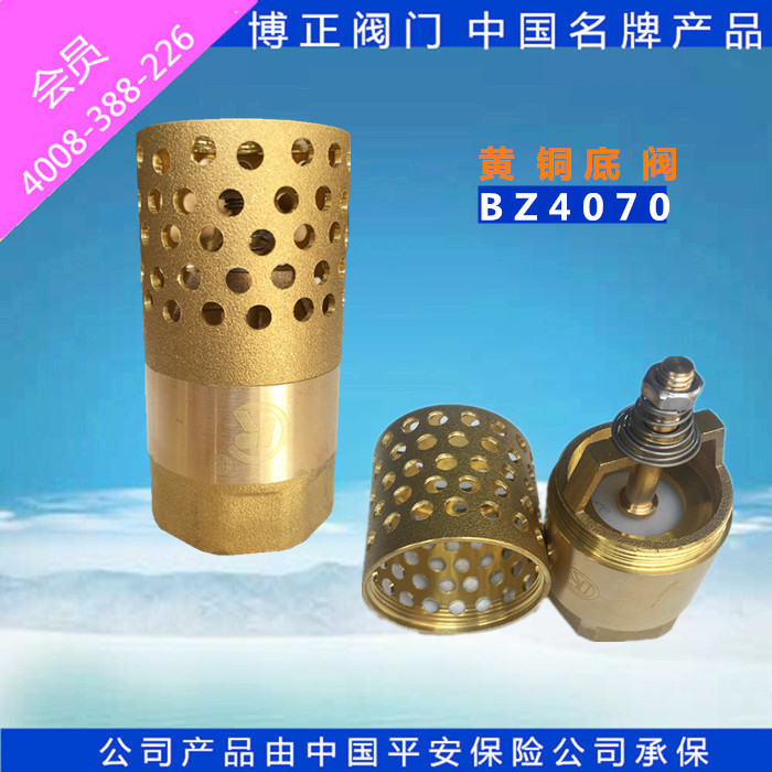 全铜底阀井底阀单向阀博正DN4070