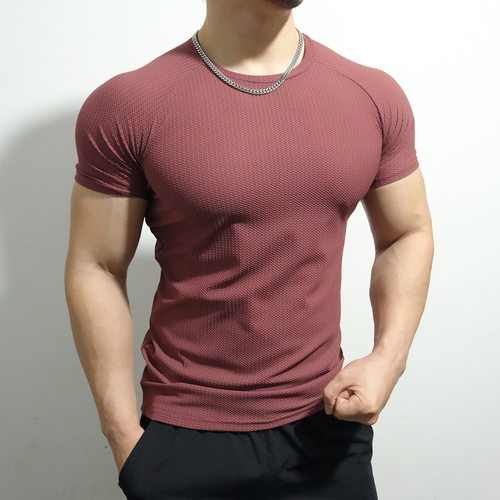 夏季男蜂窝肌理高弹健身衣短袖T