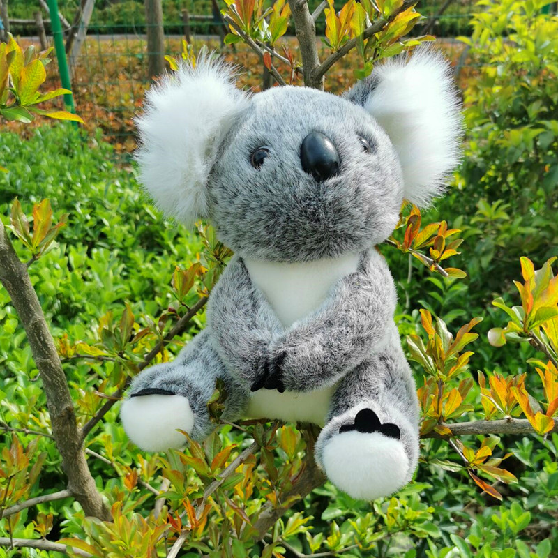 小考拉公仔树袋熊毛绒玩具仿真树懒玩偶布娃娃李振宁同款考拉礼物
