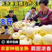 正宗甘肃天水秦安黄元 帅脆糯甜香现摘苹果孕妇水果酸甜黄香蕉苹果
