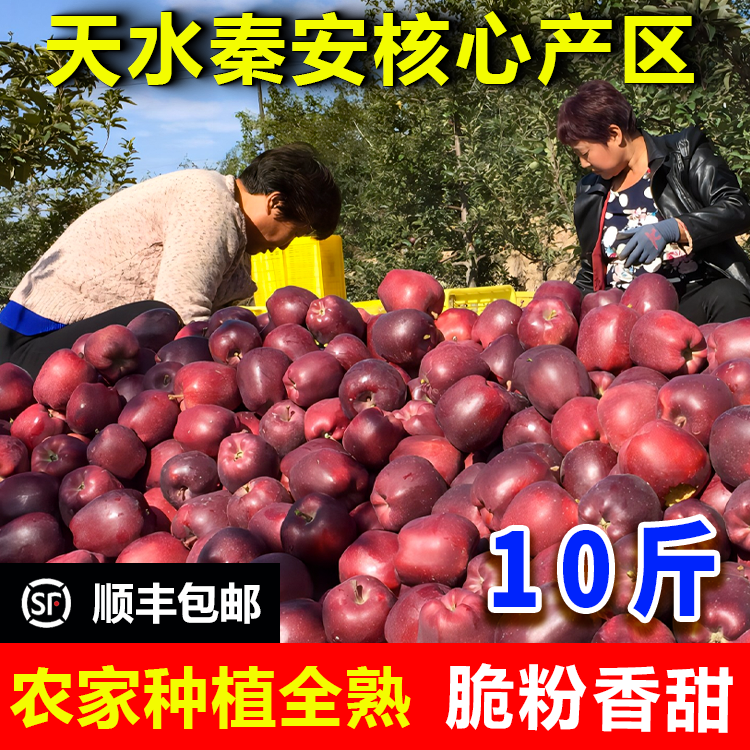 正宗甘肃天水秦安花牛苹果脆粉苹果新鲜现摘孕妇水果老人小孩苹果,水产肉类/新鲜蔬果/熟食,苹果,淘宝优惠券,粉丝福利购,淘宝优惠卷