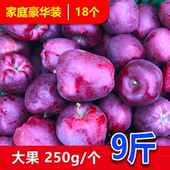 正宗甘肃天水秦安花牛苹果脆粉苹果新鲜现摘孕妇水果老人小孩苹果