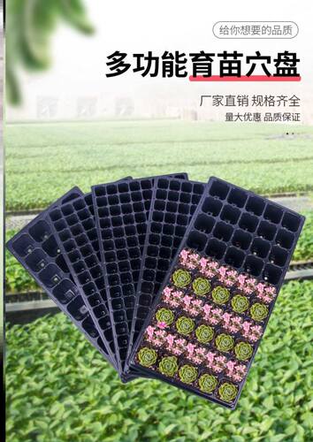 扦插育苗神器发芽育种花木植物农用繁殖盘育苗穴盘玉米苗木种子