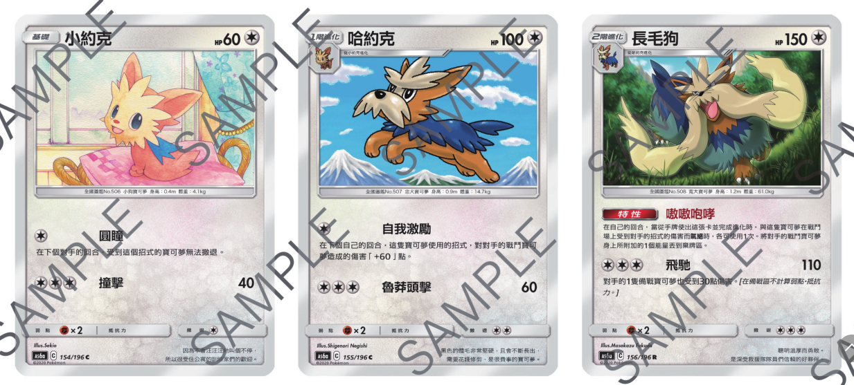 圣城 宝可梦 ptcg 繁体中文 第四弹 小约克 长毛狗 普通系 r