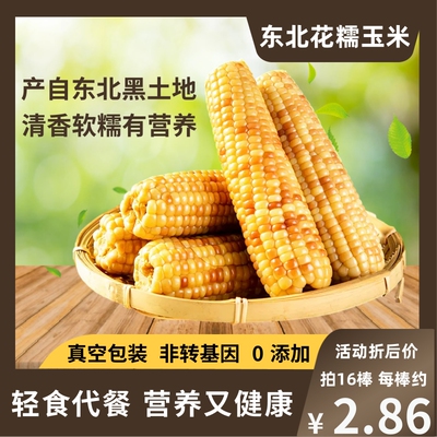 东北甜糯玉米棒花糯玉米真空代餐