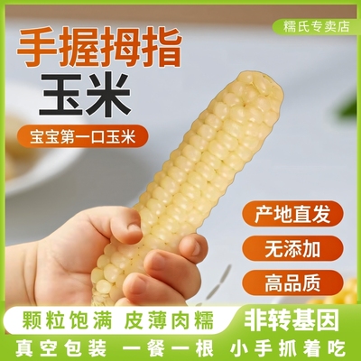 拇指玉米宝宝手握小玉米新鲜软糯