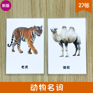 新版 动物名词认知卡片 幼儿早教ABA语言发育迟缓 自闭症干预训练