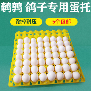 塑料鹌鹑蛋托鸽子蛋架蛋盒子运输专用鸡蛋拖防摔防碎鸡蛋托盘包邮