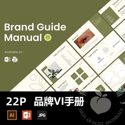 简约品牌识别指南VI手册理念展示PPT模板AI矢量设计苏素材