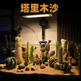 天然塔里木黄金沙鱼缸底砂三湖南美缸鼠鱼造景河沙黄色细沙水晶沙