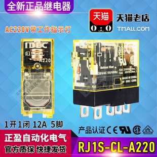 AC220V D12 A220 正品 DC24V A110 D24 和泉IDEC小型继电器RJ1S