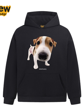 Drew美式潮牌趣味可爱小狗印花连帽卫衣男女秋冬休闲宽松情侣外套