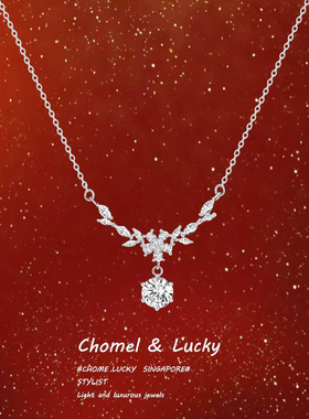 「紫藤之星」纯银s999项链女轻奢小众高级感新款爆款女友生日礼物