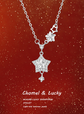 「星光灿烂」纯银s999星星项链女生轻奢小众高级感锁骨链生日礼物