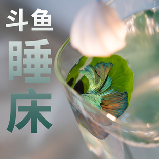 斗鱼叶子休息叶产卵叶观赏荷叶观赏装饰仿真水草鱼缸造景躲藏睡床