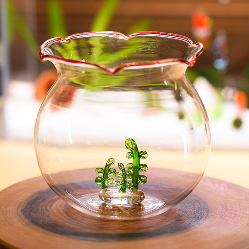 微景观生态瓶创意办公桌面小鱼缸DIY玻璃造景养生态网红礼物包邮