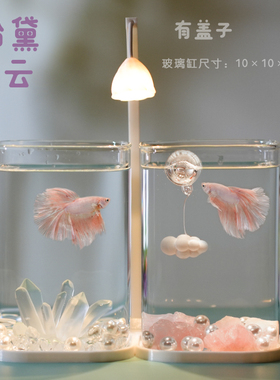 泰国斗鱼专用双缸高透小型懒人造景玻璃桌面创意鱼缸宿舍小夜灯