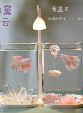 泰国斗鱼专用双缸高透创意鱼缸