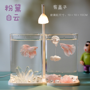 泰国斗鱼专用双缸高透小型懒人造景玻璃桌面创意鱼缸宿舍小夜灯