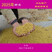 2025农家五斤自种老品种黑肚脐椭圆形非转基因笨黄豆打豆浆做豆腐