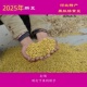 2025农家五斤自种老品种黑肚脐椭圆形非转基因笨黄豆打豆浆做豆腐