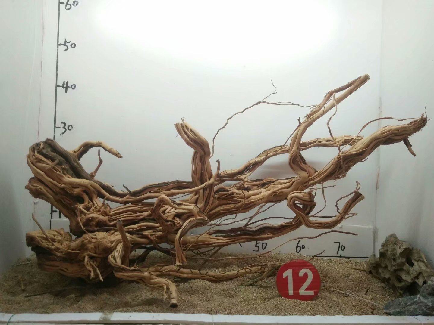 麻花藤沉木造景杜鹃根泰国枝树桩纹理根水陆缸雨林缸草缸一木成景