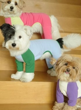 新款宠物衣服狗狗撞色拼接德绒加厚保暖秋冬四脚打底衫居家服猫咪