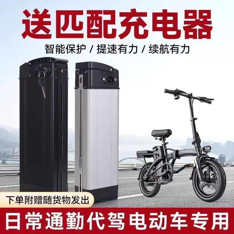 48v10Ah48v20AH电动折叠车锂电池代驾车锂电池银鱼款海霸款便携式