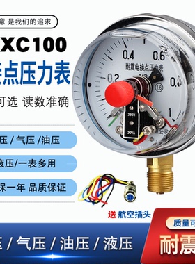 电接点压力表YNXC100耐震磁助式径向标准螺纹M20*1.5触点电压30VA