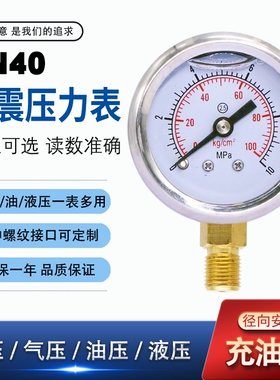 压力表 YN40 径向 耐震压力表 M10X1 水压油压表 可做不锈钢充油
