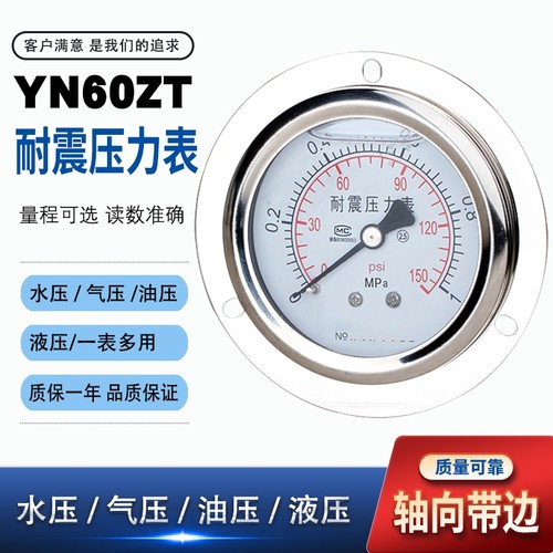 耐震YN60ZT充油标准螺纹轴向带