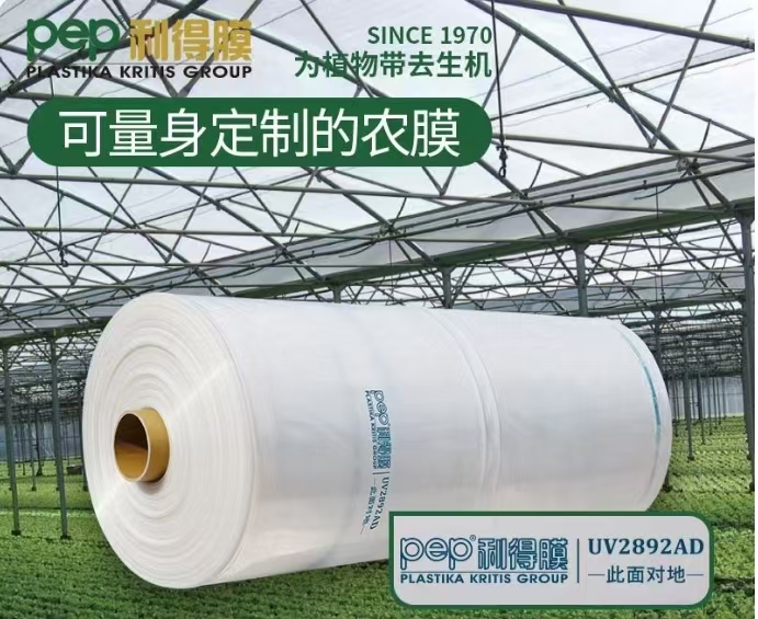 透明膜利得膜大棚膜PEP保温