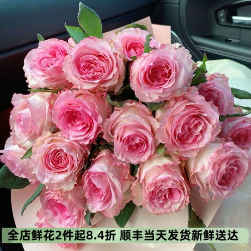 稀有伯爵玫瑰洛神微光暖玉切花