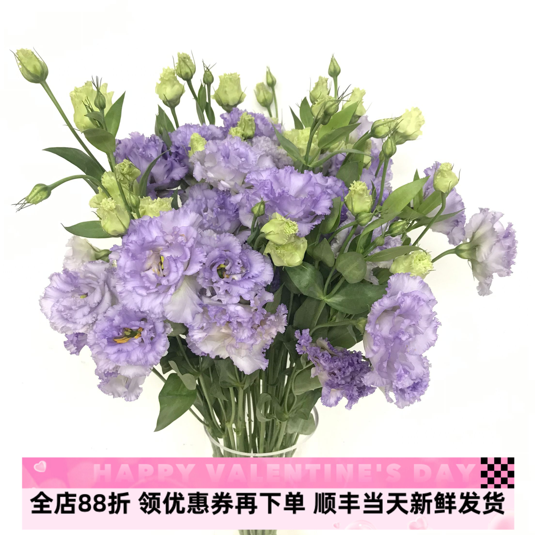 清冷紫色波浪边农民紫龙胆花卷边洋桔梗鲜花水培家庭插花北京同城