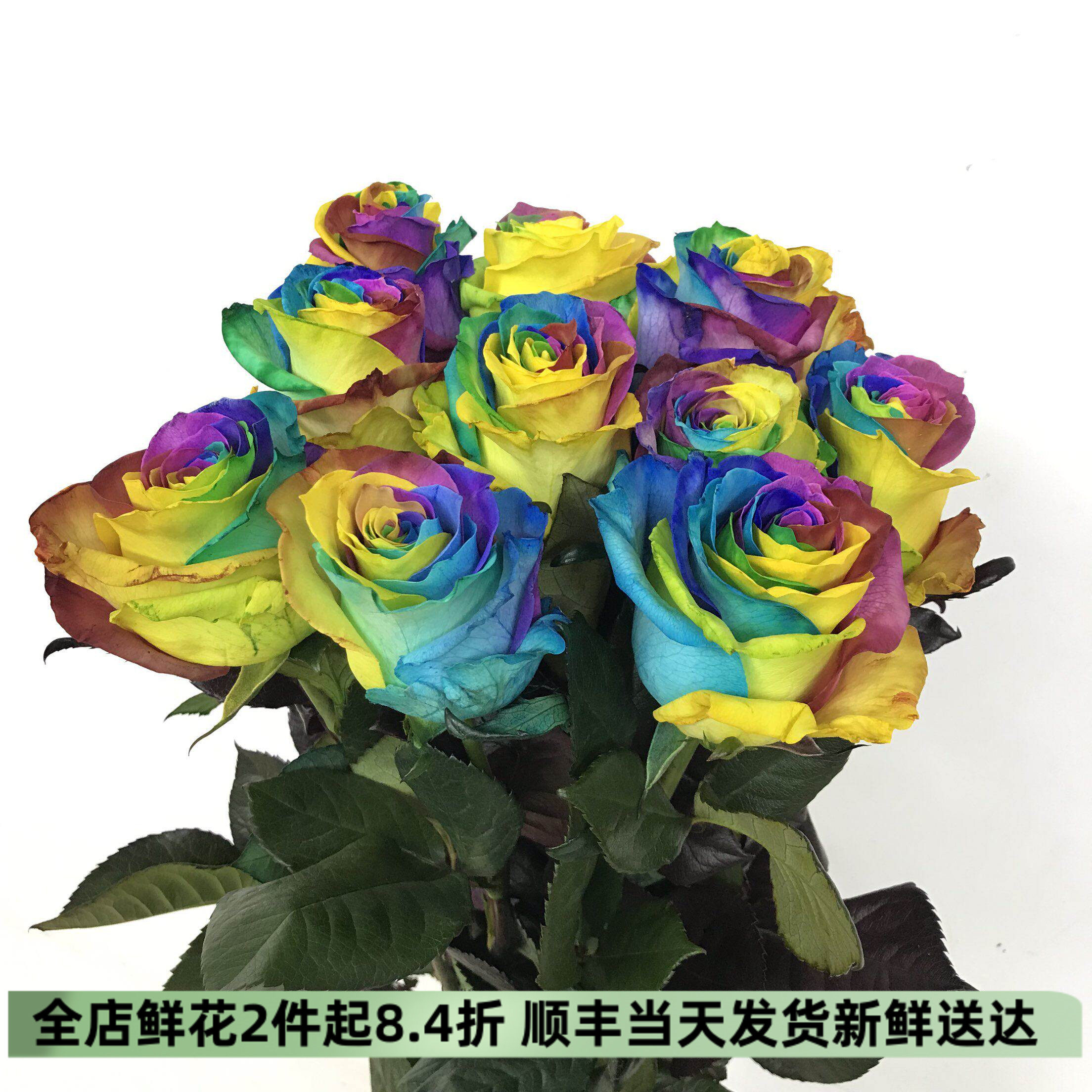 厄瓜多尔进口彩虹玫瑰鲜切花鲜花