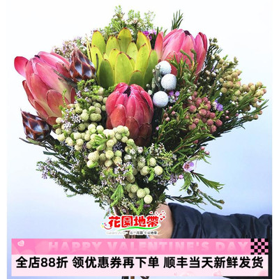 南非公主帝王花束多款随机风干