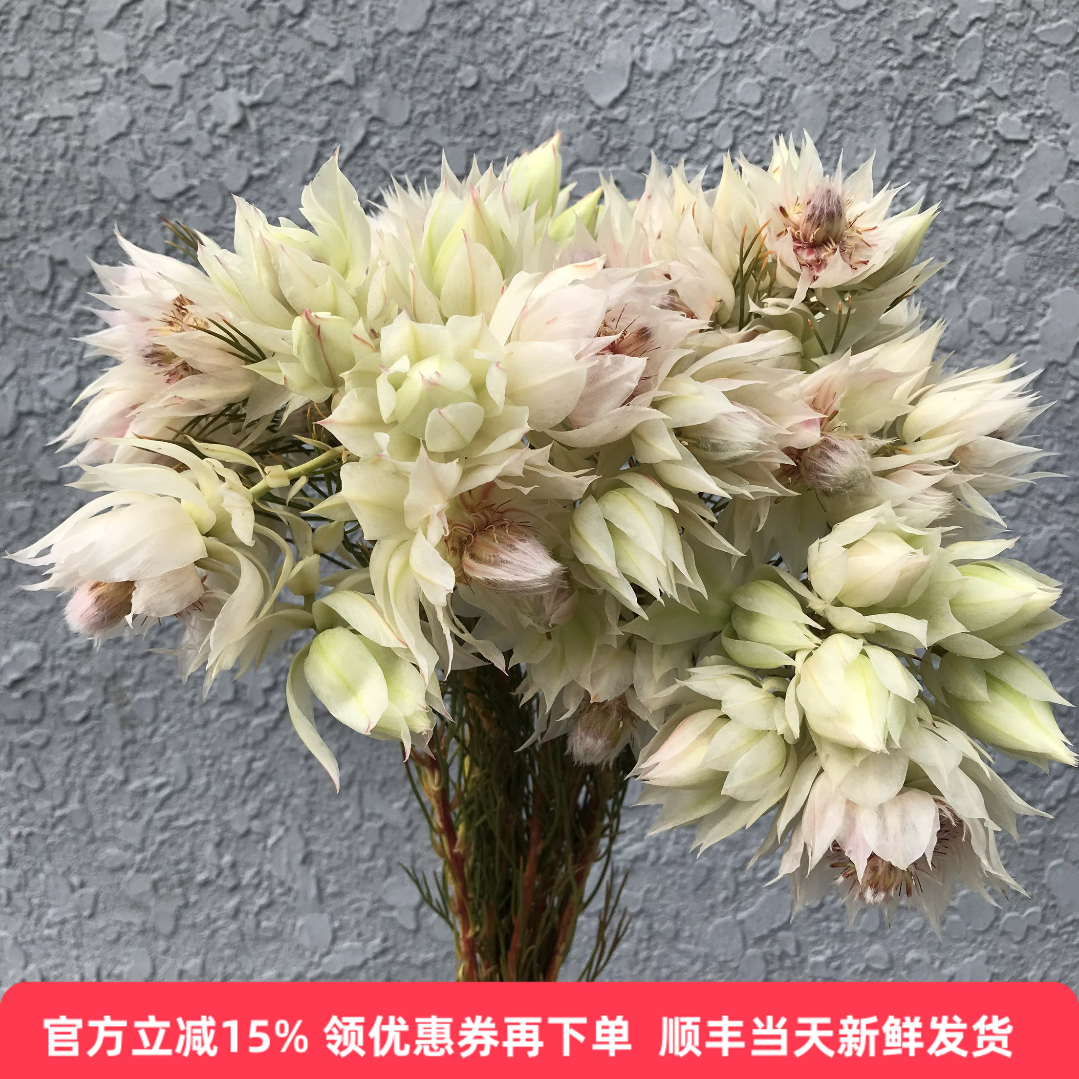 进口水晶帝王花新娘捧花同城速递