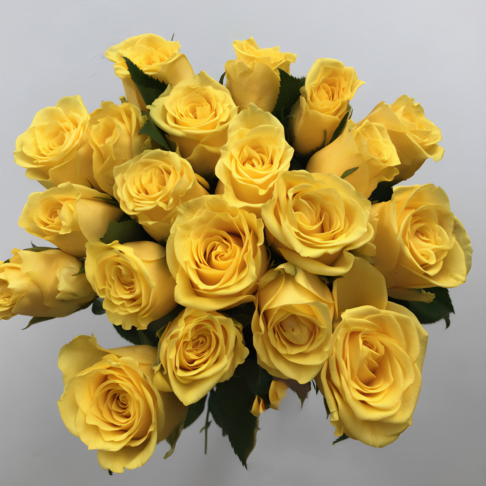 金枝玉叶黄玫瑰鲜花生日爱情同城