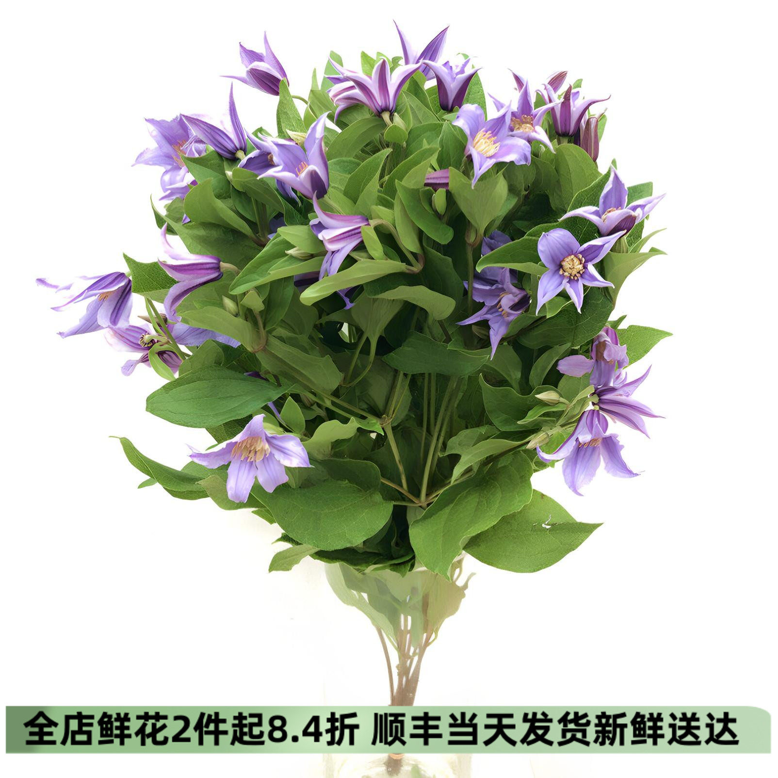 进口铁线莲风铃酒店婚礼鲜花速递