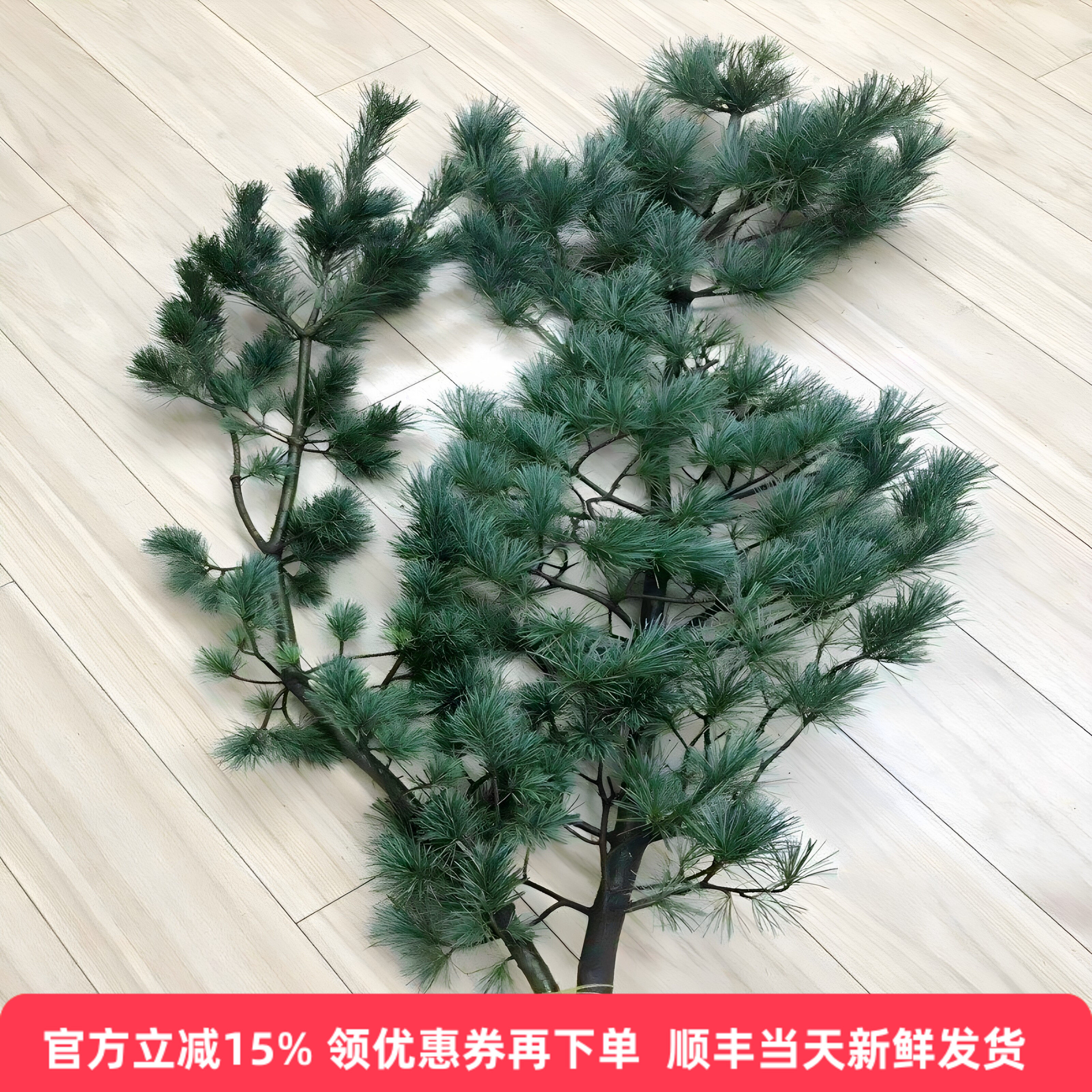 五针松鲜切枝圣诞节松树鲜花插花水养花期长中国风花艺顺丰全国速