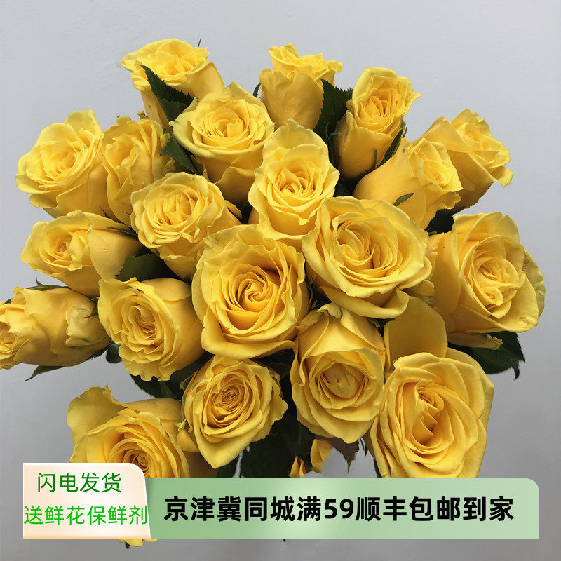 金枝玉叶黄玫瑰鲜花生日爱情表白礼物情人节礼物水培插花同城速递