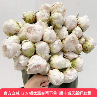 大芍药鲜花红色魅力奶油碗牡丹落日珊瑚生日表白礼物北京同城速递