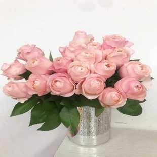 凯瑟琳玫瑰花粉色系鲜切月季情人节七夕家庭生活插花鲜花同城速递