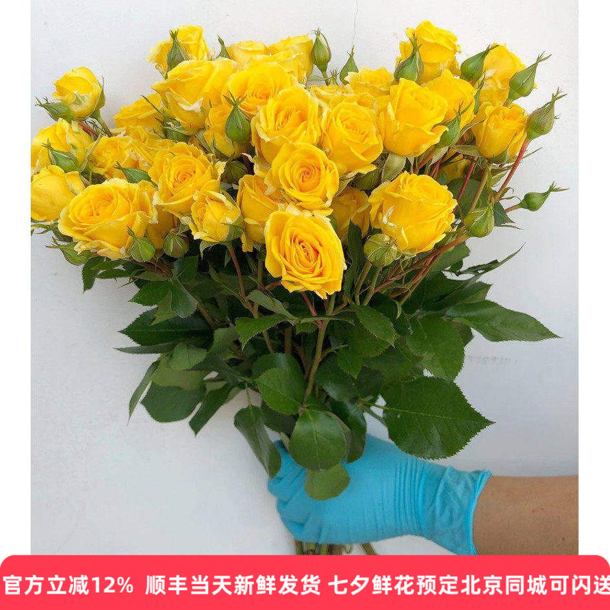 黄多头小玫瑰晴天蔷薇鲜花水培花